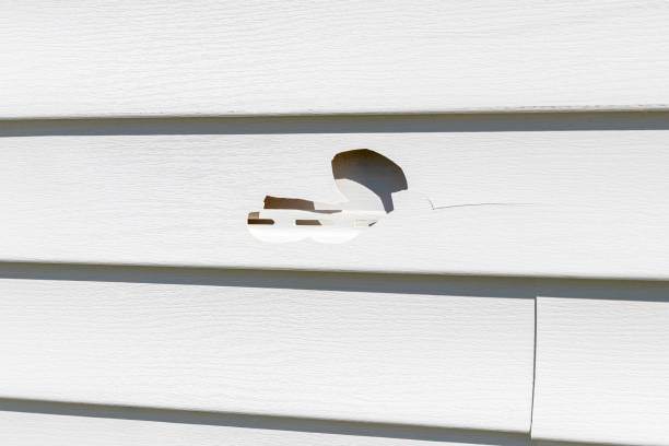 Reliable Alamance, NC Siding Solutions